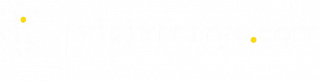 Vip Jet Kurye Ankara